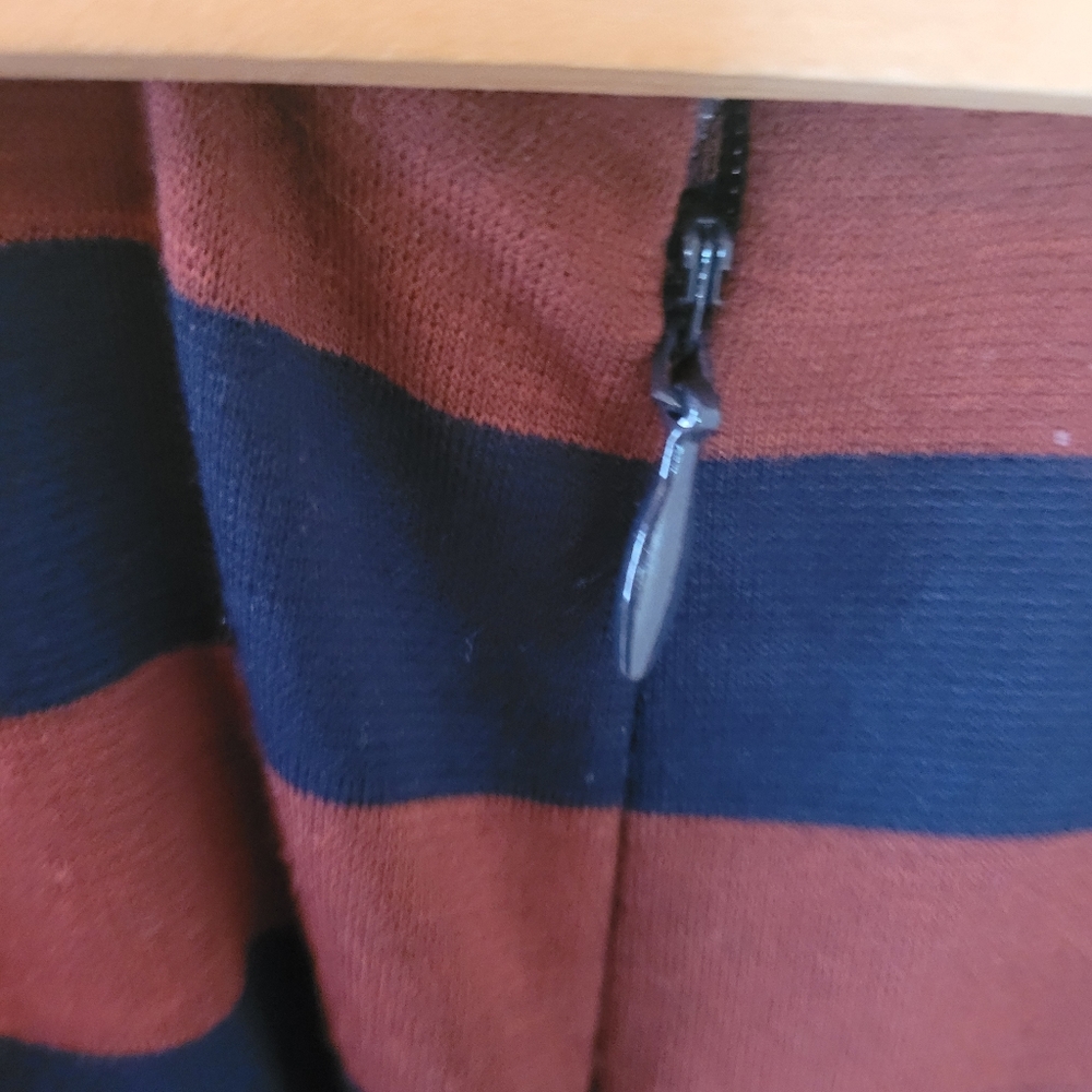 The Limited brown and blue striped skirt. - Picture 5 of 10